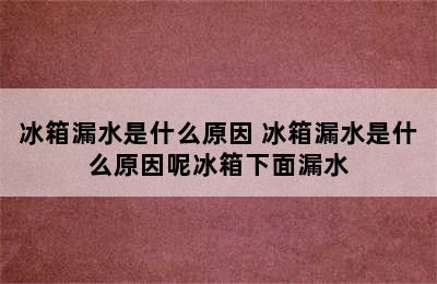 冰箱漏水是什么原因 冰箱漏水是什么原因呢冰箱下面漏水